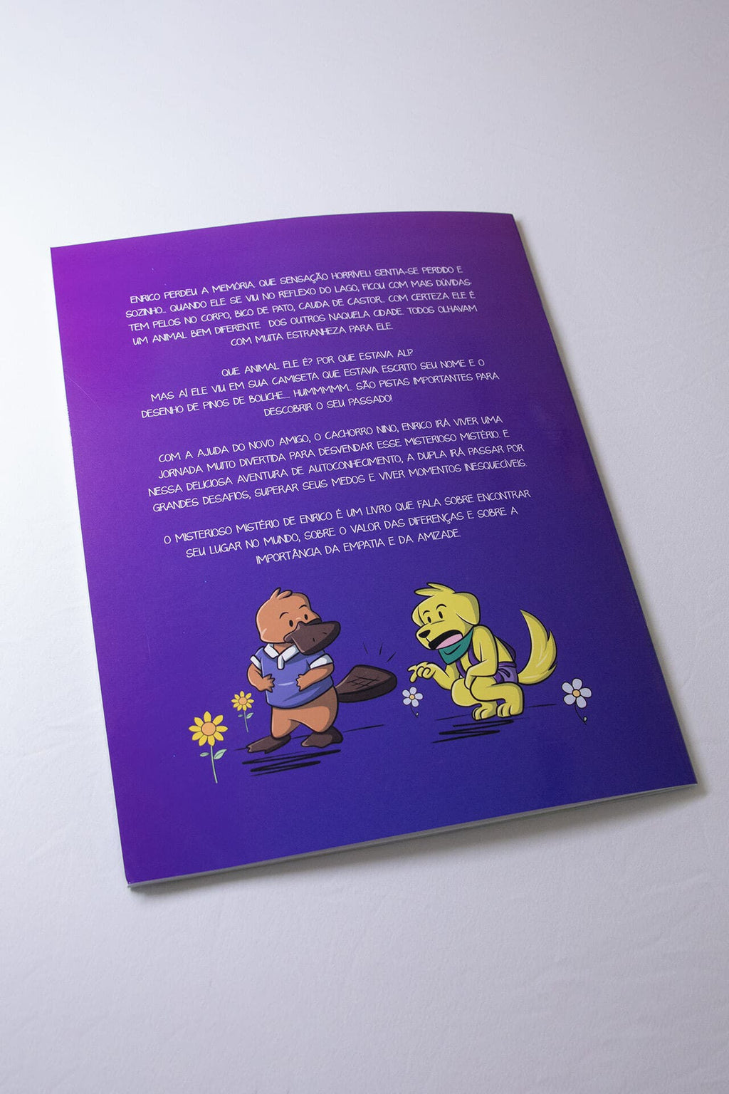 Livro O Misterioso Misterio de Enrico